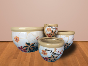 Indoor Glazed Ceramic Bowl Planter